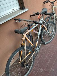 Bici mountain bike legnano