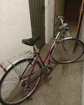 Bianchi Spillo k-15  pronta per l uso 