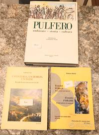PAESI DEL FRIULI 