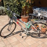 Bicicletta city bike da donna Bianchi Spillo