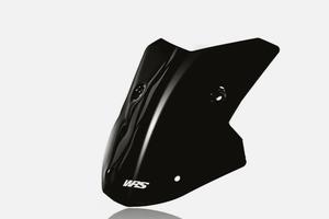 Cupolino WRS Bmw S100XR