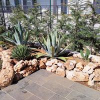 Sassi Da Giardino In Pietra Di Trani