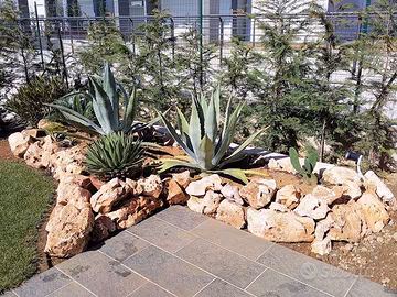 Sassi Da Giardino In Pietra Di Trani