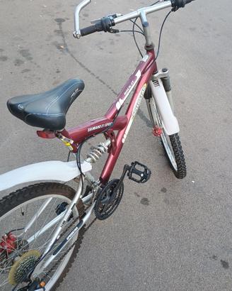 Mountain bike