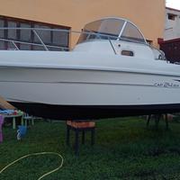 Capelli 24 wa