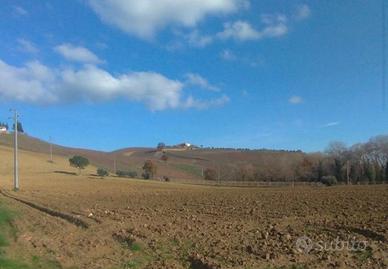 Terreno agricolo semi-pianeggiante di 1 ettaro