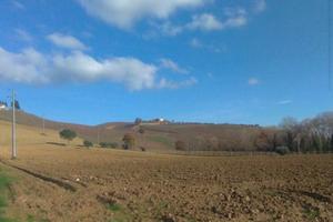 Terreno agricolo semi-pianeggiante di 1 ettaro
