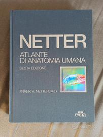 Netter – Atlante di Anatomia Umana 