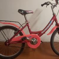 Bicicletta bambina da 20