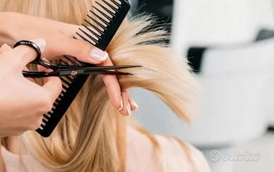 Attività Commerciale Alba [3CVCG]