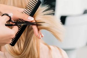 Attività Commerciale Alba [3CVCG]