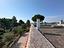 Immagine 26