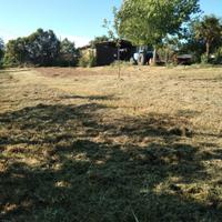 Terreno pianeggiante