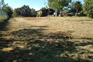 Terreno pianeggiante