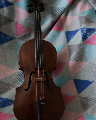 violino