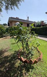 Attico / Mansarda di 45 m² con 1 locale a Grottafe
