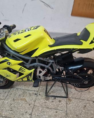 minimoto DM
