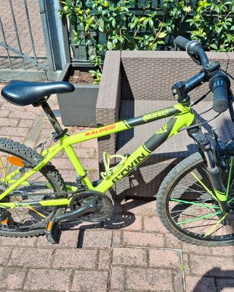 Bicicletta MTB 24