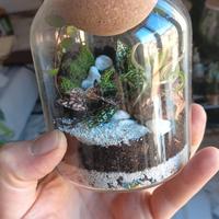 Terrari personalizzati