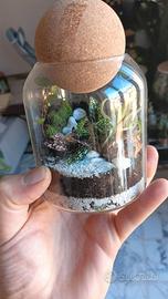 Terrari personalizzati