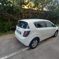 tenuta in buone condizioni adatta anche per I neop