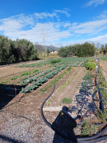 Terreno Agricolo 1000mq