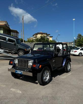 JEEP - Wrangler - cat Sport