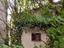 Immagine 22