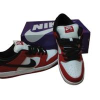 nike sb dunk low j-pack chicago