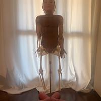 Corpo umano