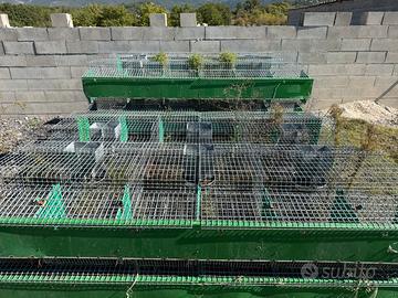 Gabbia per conigli