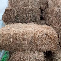 balle di fieno prezzo 5 € l'una.