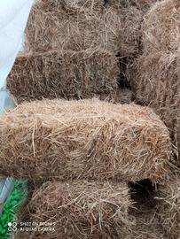 balle di fieno prezzo 5 € l'una.