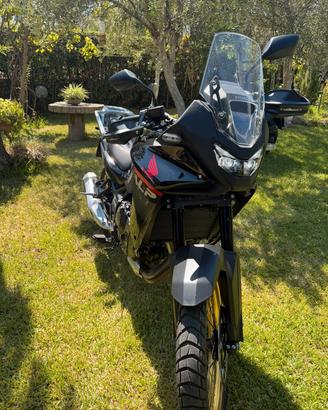 transalp 750 2025