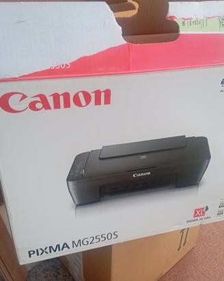 stampante Canon prisma MG2550s