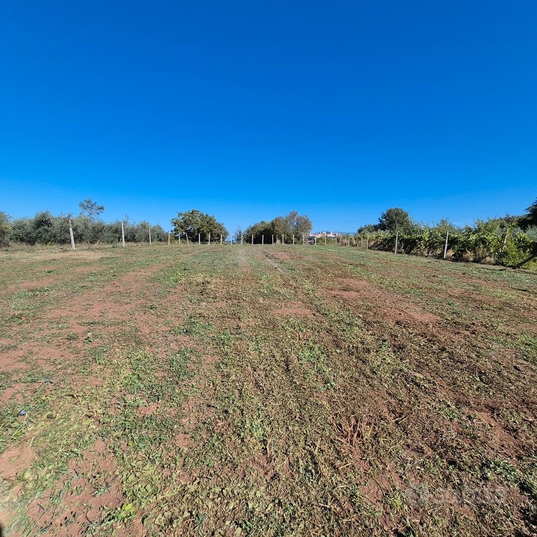 Monte Compatri Terreno Agricolo - Vista 3