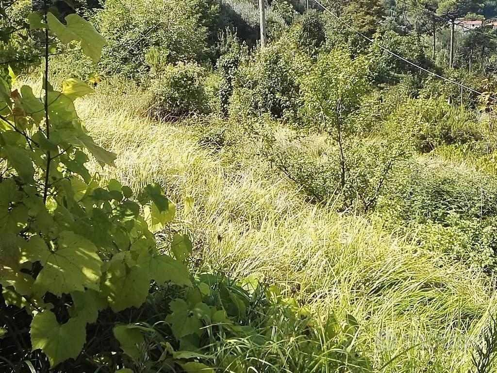 Rustico / Casale di 100 m² con 4 locali a Sestri L - Vista 4
