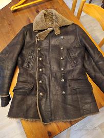 Montone Dolce & Gabbana