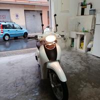 Aprilia scarabeo 50 2t