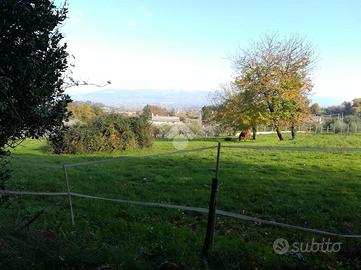 TER. AGRICOLO A MONTE COMPATRI
