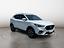 Immagine 7