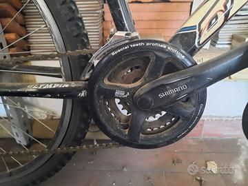 Bicicletta mountain bike