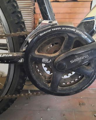 Bicicletta mountain bike