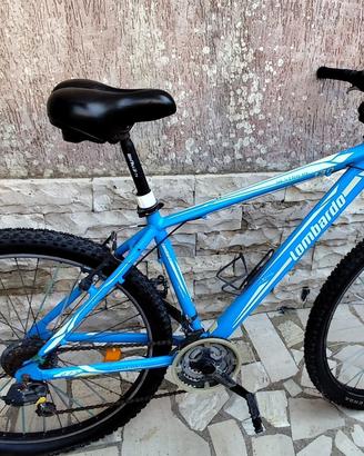 Bicicletta
