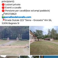 Cavallo pensionamento