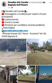 Cavallo pensionamento