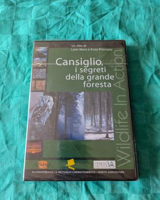 Cansiglio, i segreti della grande foresta
