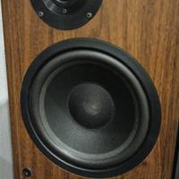 ESB Classic 300