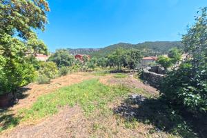 Borgo di Cuzzola, La Tua Oasi tra Natura e Mare