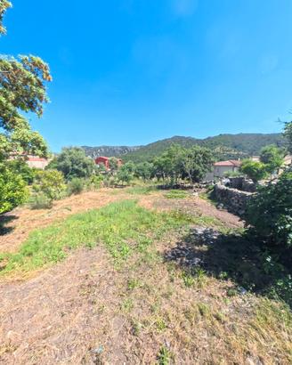 Borgo di Cuzzola, La Tua Oasi tra Natura e Mare